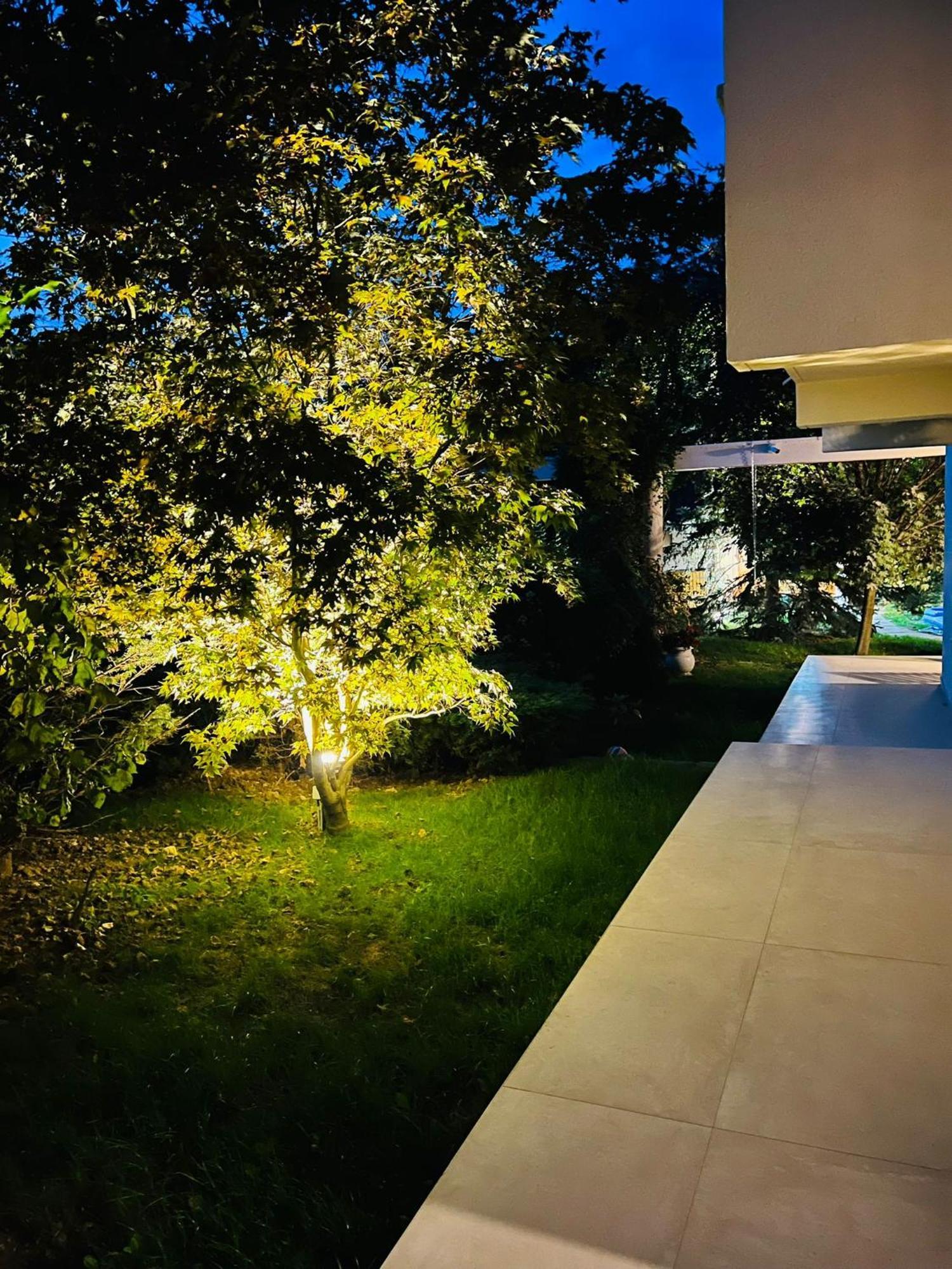 Evie'S Tree House Vila Dragomirna Exterior foto